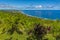 A view past boat lily plants on Hackleton Cliffs along the Atlantic coast in Barbados