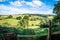 View past footpath sign towards Petworth