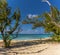 A view past trees towards Governors beach on Grand Turk