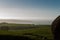 A view of pasture land from Elephant Rocks above Dillon Beach California