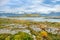 View of the Patagonian mountains from an island covered by green and yellow vegetation on the Beagle Channel, against a