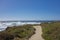 View of path along coast of 17 mile drive California