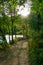 View of a path in the mountain between trees by the lake