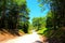 View at a path near Gerosa Lake with Marche mountainous landscape and green colors