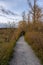 View of a Path in the woods with green fresh trees in Shoreline Trail, Port Moody