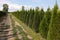 View of pathway along bushes under beautiful sky on sunny day