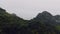 View from Peak in Cat Ba National Park. Ha Long, Vietnam, Halong Bay. Dense jungle. Thickets in mountains