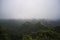 View from Peak in Cat Ba National Park. Ha Long, Vietnam, Halong Bay. Dense jungle. Thickets in mountains