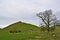 View of the peak of Thorpe Cloud, in Dovedale, Derbyshire.