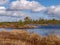 View of a peat bog lake on a sunny day