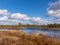 View of a peat bog lake on a sunny day