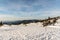 View from Pec hill in winter Jeseniky mountains in Czech republic