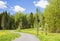 View of the pedestrian road to the forest in spring, Masala, Kirkkonummi, Finland