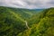 View from Pendleton Point, in Blackwater Falls State Park, West Virginia