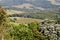 View of a persimmon plantation in the mountains