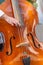 View of person playing double bass on the street
