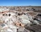 A View of the Petrified Forest