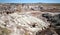 A View of Petrified Forest National Park