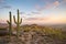 View of Phoenix with Saguaro cactus