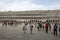 View of Piazza San Marco in Venice. People sightseeing