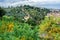 View from Piazzale Michelangelo to the Bardini gardens Giardino Bardini and Montecuccoli hill