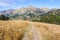 View of Pica d\'Estats in the Valley of Estanyo River, Andorra