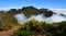 View from Pico do Areeiro Madeira peaks  among clouds and Yellow broom flowers.