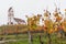 View of a picturesque white country church surrounded by golden vineyard pinot noir grapevine landscape