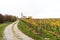 View of a picturesque white country church surrounded by golden vineyard pinot noir grapevine landscape with a gravel country road