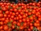 View on pile of countless red ripe raw cherry tomatoes on german market