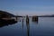 A view of pilings in a harbour