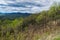 View from Pine Tree Overlook