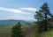 A View of a Pine Trees, Montvale Valley and the Blue Ridge Mountains