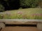 View of pink  flowers  and wooden bench in summer Tallinn