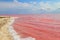 View of the pink salty Syvash lake in Kherson region, Ukraine