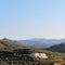 View of Platanias green surroundings