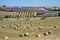 View of the Plateau de Valensole: hay bales, lavender fields, olive trees