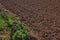 View of ploughed agricultural field