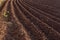 View of the plowed land. Furrows from the plow. Agriculture