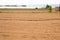 View of plowed sown farm land