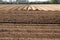 View on plowed tilled cropland with symmetrical vertical and horizontal furrows in Netherlands near Roermond