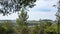 View of the plowed and verdant fields through the trees