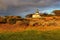 View of Point Pinos lighthouse on the Monterey coast.