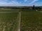 View on Pomerol village, production of red Bordeaux wine, Merlot or Cabernet Sauvignon red wine grapes on cru class vineyards in