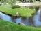 View of  pond with green coasts, stone in the park, Tallinn