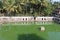 A view of the pond inside Mangeshi Temple in Goa