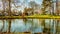 View of a pond with reflection in the water and the Tea dome or Gloriette on a hill in the background