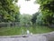 View of pond, stones and trees  in summer  park,  Karlovy Vary, Czech Republic