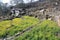 View of Poon Hill in Nepal