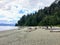 A view of the popular wreck beach, a famous nude beach along the beautiful forests of the West side of Vancouver, British Columbia